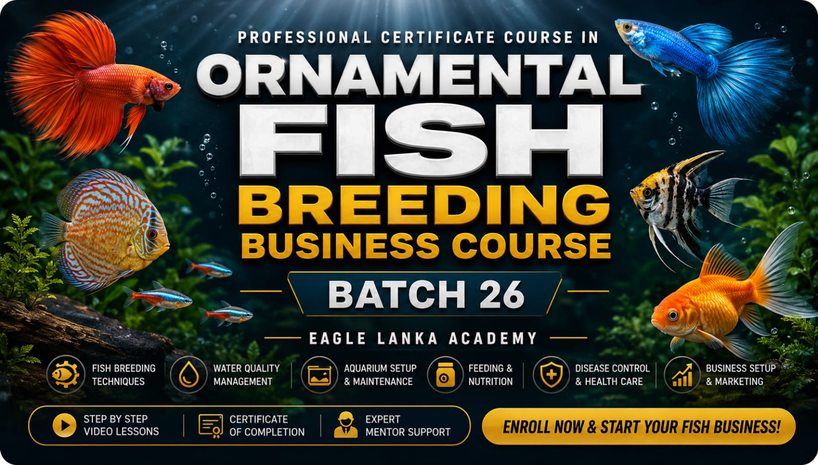 ORNAMENTAL FISH BREEDING BUSINESS COURSE BATCH 26